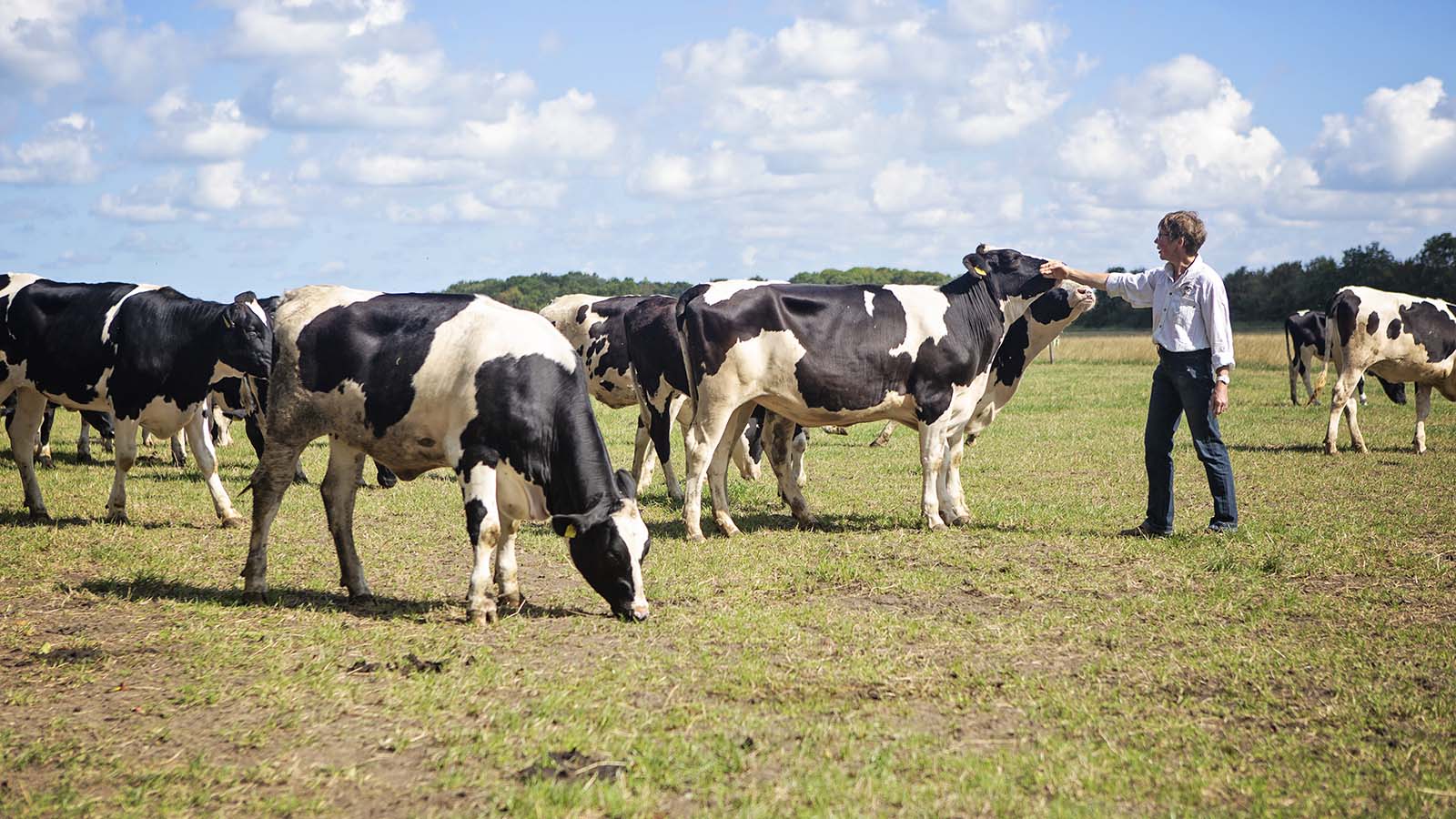 Marja Kwekkeboom van kaasboerderij Schellach