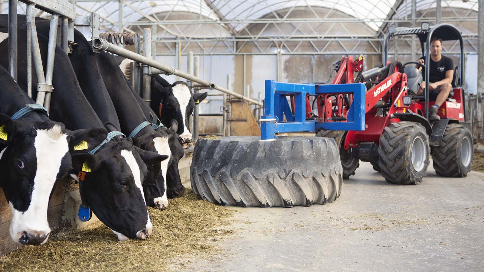 Robbie Mesu van kaasboerderij Schellach